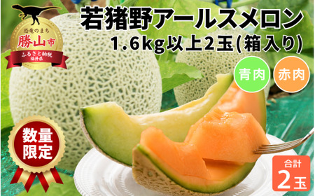 【令和8年産　先行予約・数量限定！】令和８年産　若猪野アールスメロン 1.6kg 以上 (赤肉・青肉各１玉）合計 2玉 箱入り ※2026年７月下旬より順次発送 [A-011016] 