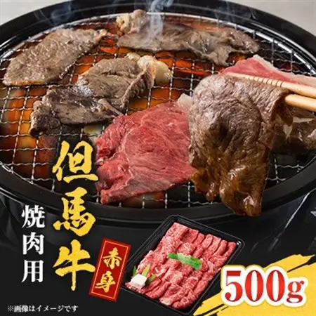 但馬牛　焼肉用(モモ・肩部位)500g【配送不可地域：離島】【1615682】