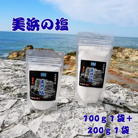 美浜の塩 200g×1袋 + 美浜の塩 100g×1袋｜天然塩 塩 食塩 しお ソルト