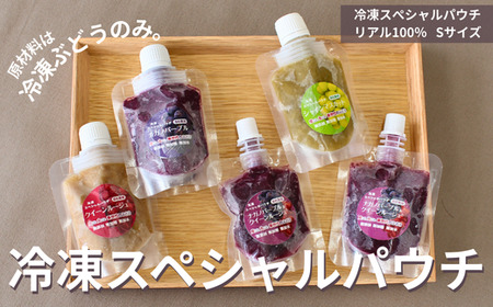 TK26 ぶどう 冷凍スペシャルパウチ リアル100％ Sサイズ（45g） 5個 // 長野県 南信州 冷凍フルーツ 冷凍パウチ パウチ シャーベット スムージー 無添加 無加糖 無加水 葡萄 シャインマスカット ナガノパープル クインルージュ®