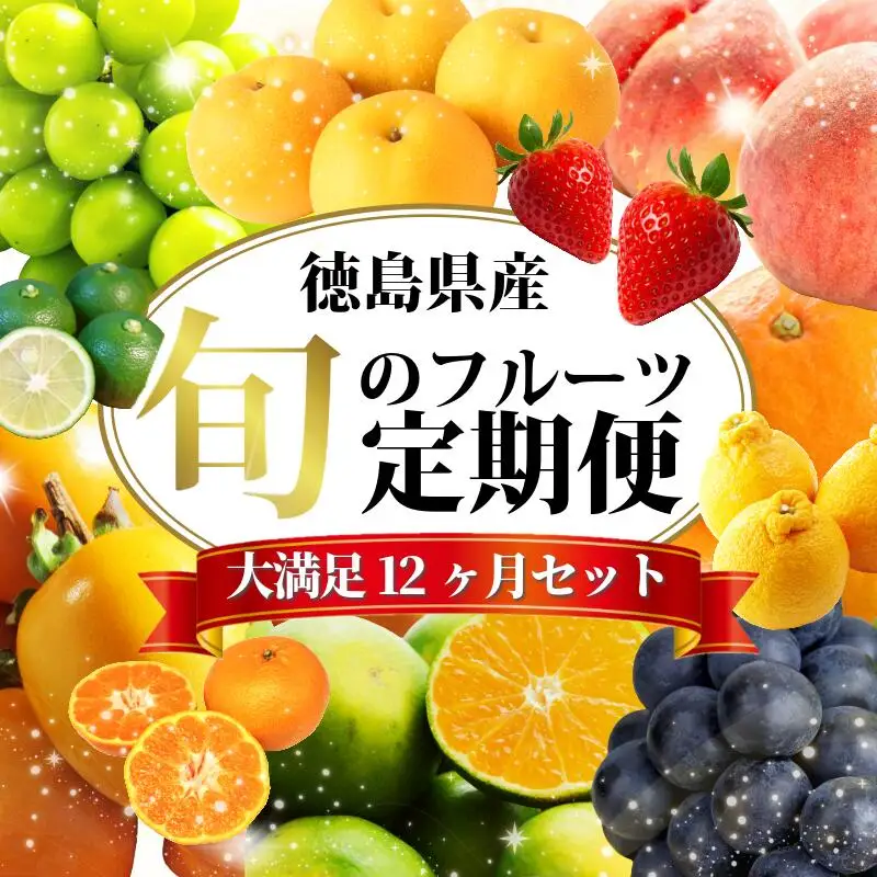 フルーツ 定期便 12ヶ月 果物 季節 旬 詰め合せ