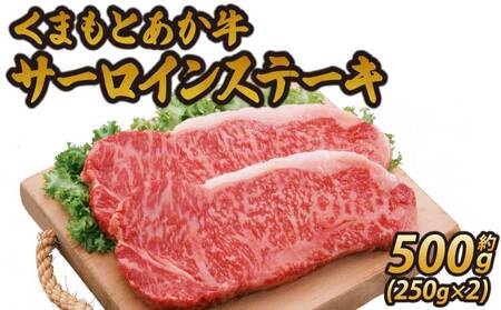 くまもとあか牛 サーロインステーキ 約500g (250g×2) 