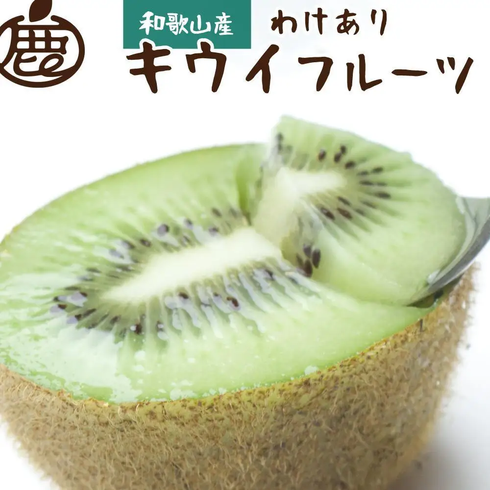 ［先行予約］わけあり キウイ0.6kg+250g（傷み補償分）［わけあり・訳あり・扁平果］