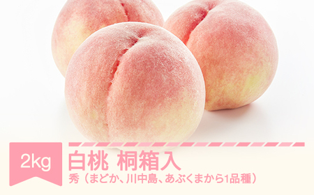 【先行予約】白桃 秀 桐箱入 もも 桃 品種おまかせ 約2kg 令和8年産 2026年産 果物 ※沖縄・離島への配送不可  mm-moomk2000