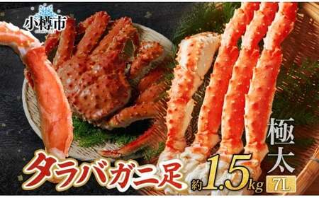 タラバガニ 蟹脚 ボイル 約1.5kg 7L 【otaru002】 カニ かに 蟹 カニ脚 蟹脚 カニ棒肉 海鮮 海の幸 ギフト お取り寄せ