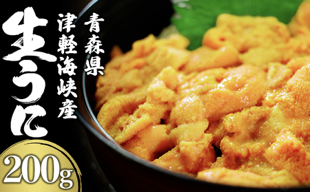津軽海峡産 生うに パック 100g×2