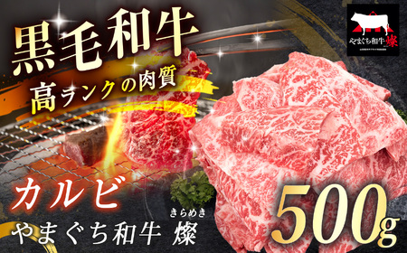 数量限定！選べる 極上牛肉 やまぐち和牛 燦 ( きらめき ) カルビ 500g