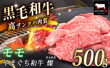 数量限定！選べる 極上牛肉 やまぐち和牛 燦 ( きらめき ) モモ 500g