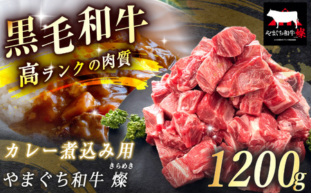 数量限定！選べる 極上牛肉 やまぐち和牛 燦 (きらめき) カレー煮込み用 1200g