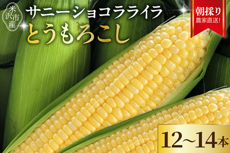 【先行予約】 令和8年産 とうもろこし 12本 ～ 14本 ×1箱 サニーショコラ ライラ 2026年7月中旬～8月中旬頃お届け予定