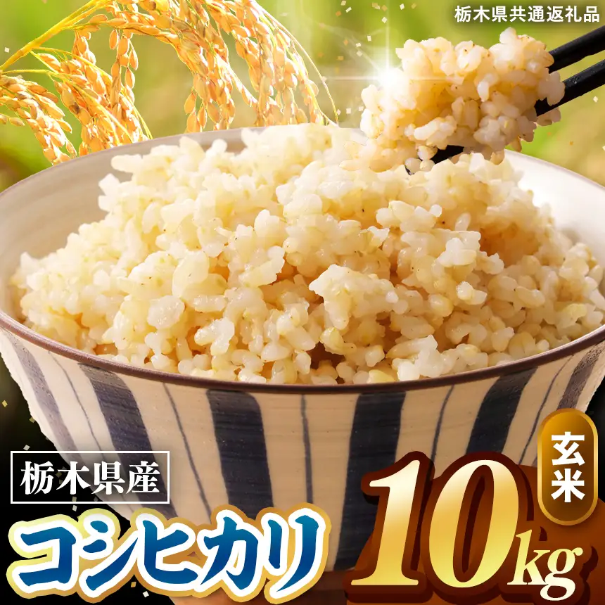 令和8年度産 先行予約 こしひかり 玄米 約10kg