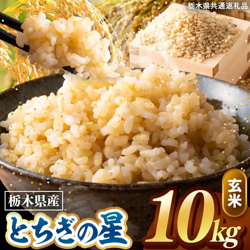 令和8年度産 先行予約 とちぎの星 玄米 約10kg