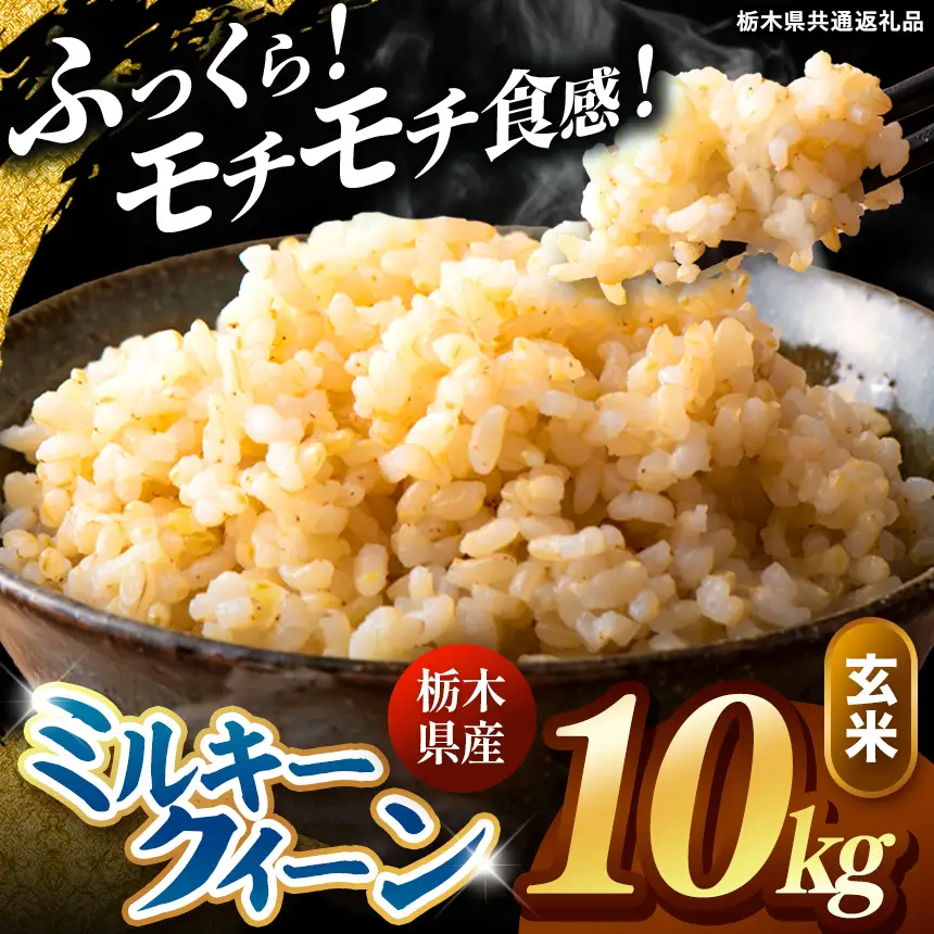令和8年度産 先行予約 ミルキークイーン 玄米 約10kg
