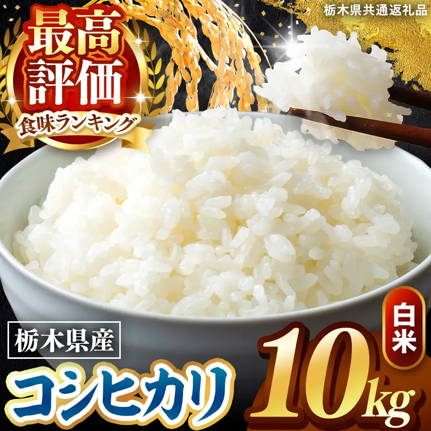令和8年度産 先行予約 こしひかり 白米 10kg