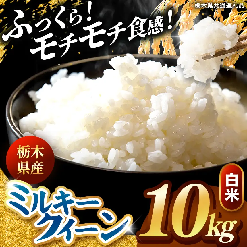 令和8年度産 先行予約 ミルキークイーン 白米 10kg
