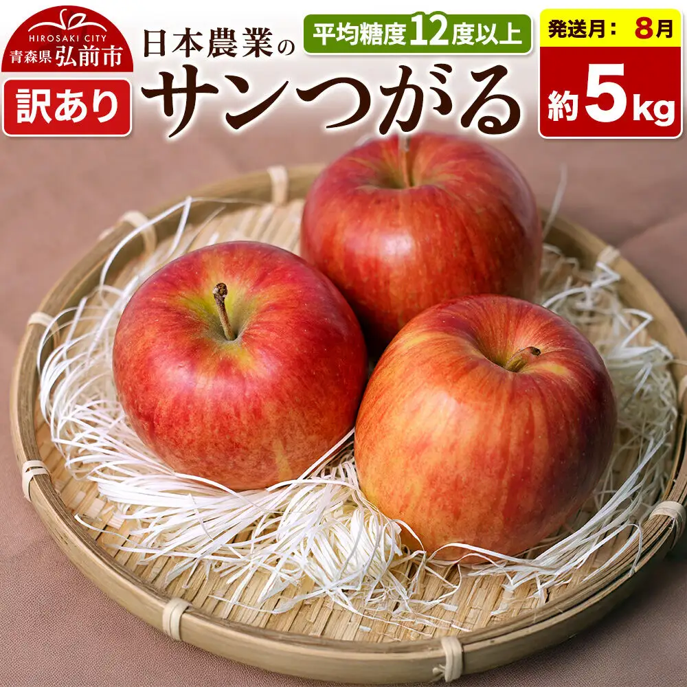 【26年8月クール便発送】りんご サンつがる【訳あり】約5kg 平均糖度12度以上 青森県産 果物 フルーツ 林檎 リンゴ くだもの 不揃い 規格外