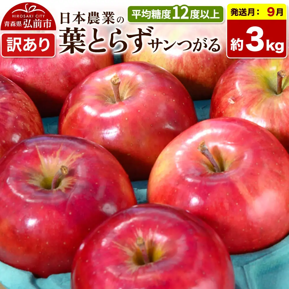 【26年9月クール便発送】りんご 葉とらずサンつがる【訳あり】約3kg 平均糖度12度以上 青森県産 果物 フルーツ 林檎 リンゴ くだもの 不揃い 規格外