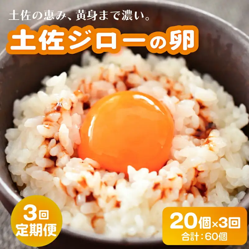 【卵 3回定期便】土佐ジロー 卵 20個×3