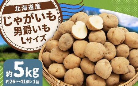 じゃがいも （男爵）  Lサイズ 約5kg × 1箱 約5kg （JA） だんしゃく ジャガイモ 芋 いも 野菜 やさい ほくほく 北海道 京極町 常温 【2026年9月下旬～2027年2月下旬迄発送予定】