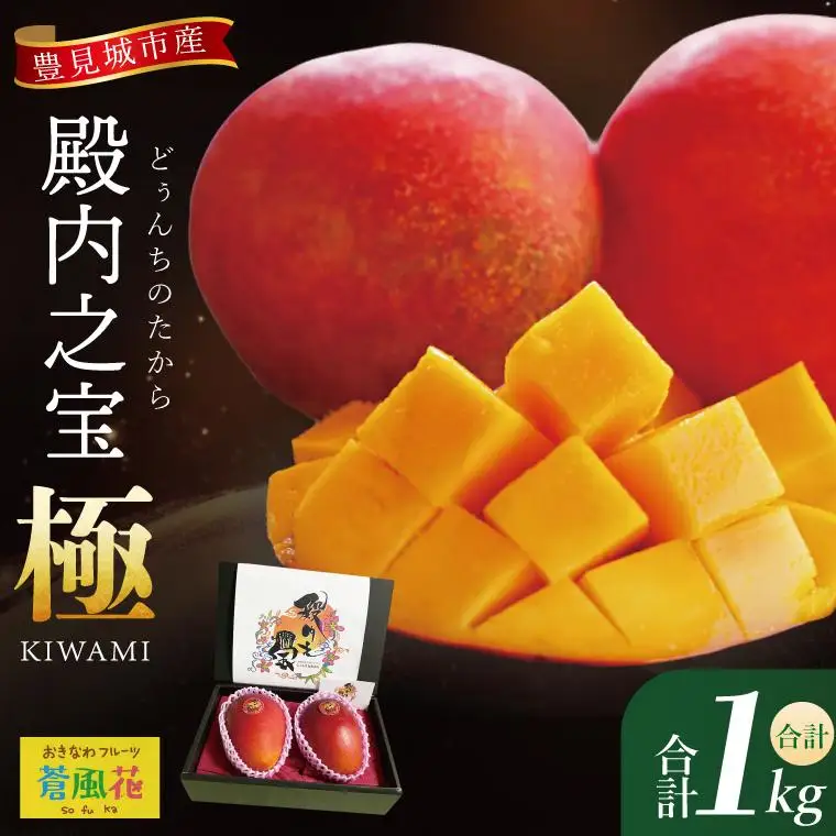 豊見城産マンゴー『殿内之宝(どぅんちのたから)・極』約1kg