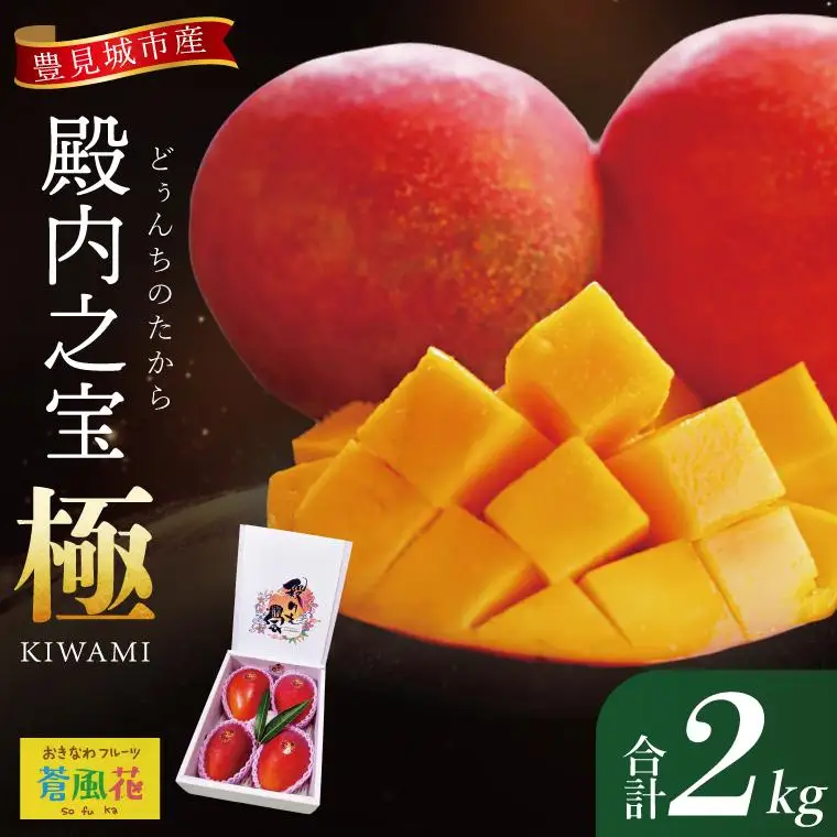 豊見城産マンゴー『殿内之宝(どぅんちのたから)・極』約2kg 