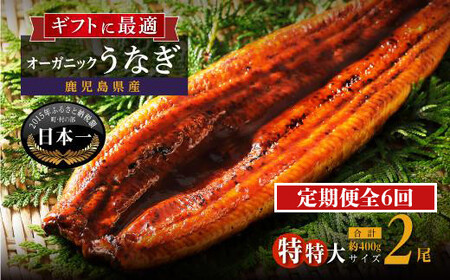 【定期便】泰正オーガニックうなぎ蒲焼　特特大2尾合計400g以上（全6回）合計12尾