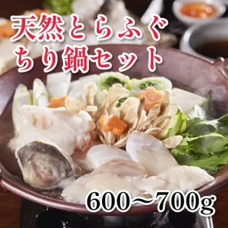 天然とらふぐちり鍋セット(600～700g)千葉県大原産【配送不可地域：離島】【1679652】