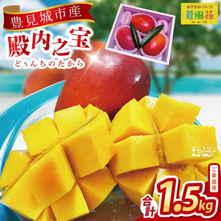 豊見城産マンゴー『殿内之宝(どぅんちのたから)』約1.5kg(ご家庭用) 