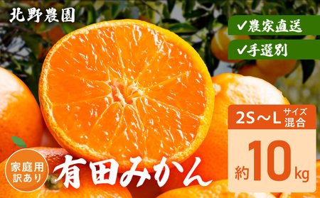 DZ6235_【2026年先行予約】家庭用 訳あり 有田みかん 和歌山 2S～Lサイズ混合 約10kg