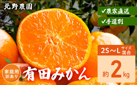 DZ6238_【2026年先行予約】家庭用 訳あり 有田みかん 和歌山 2S～Lサイズ混合 約2kg