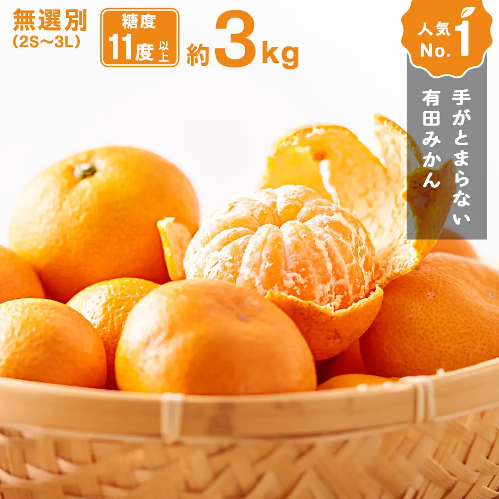 手が止まらない 訳あり 有田みかん 約3kg 大きさ無選別（2S〜3L） 糖度11度以上 鳴川農園 　［2026年11月以降発送予定］
