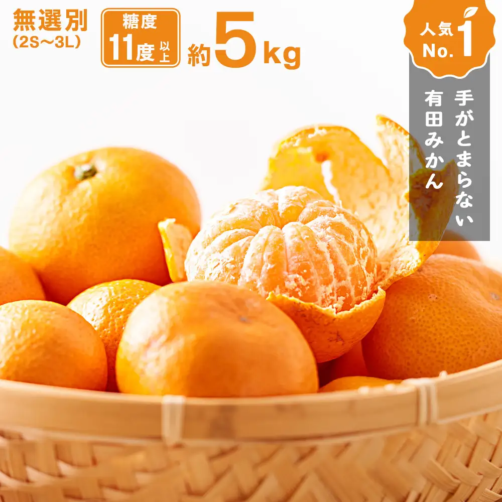 手が止まらない 訳あり 有田みかん 約5kg 大きさ無選別（2S〜3L） 糖度11度以上 鳴川農園 ［2026年11月以降発送予定］
