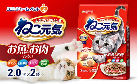 ねこ元気 お魚とお肉ミックス まぐろ・白身魚・チキン・緑黄色野菜入 2.0kg×2袋 ペットフード