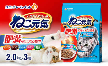 ねこ元気 肥満が気になる猫用 まぐろ・かつお・白身魚・チキン・緑黄色野菜入り 2.0kg×3袋