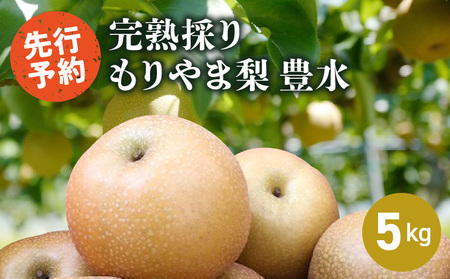 完熟採り　もりやま梨（豊水）５キロ【先行予約】 CW-0003