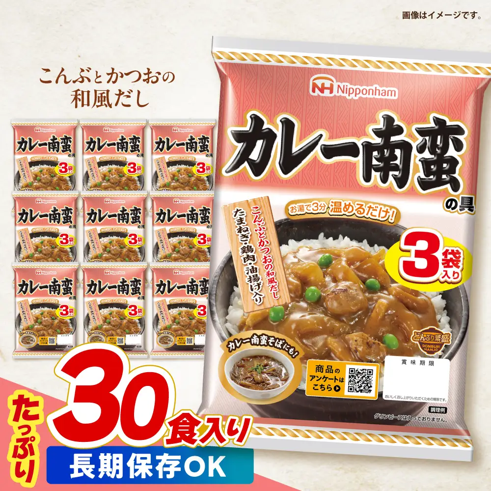 【小分け】日本ハム カレー南蛮の具 10パックセット(1パック3袋入り)計30食分 / 丼 どんぶり レトルト 鶏肉 南蛮 カレー 小分け / 諫早市 / 日本ハムマーケティング株式会社[AHAL015]