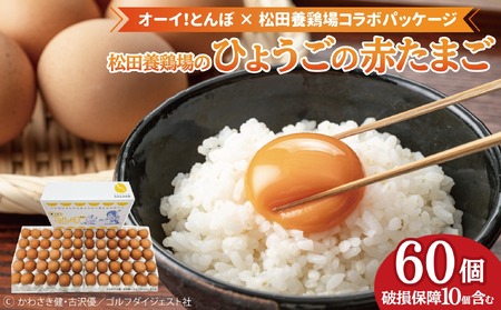 【オーイ！とんぼ×松田養鶏場コラボパッケージ】産地直送  松田養鶏場のひょうごの赤たまご60個（50個+割れ補償10個）【北海道・沖縄・離島 配送不可】