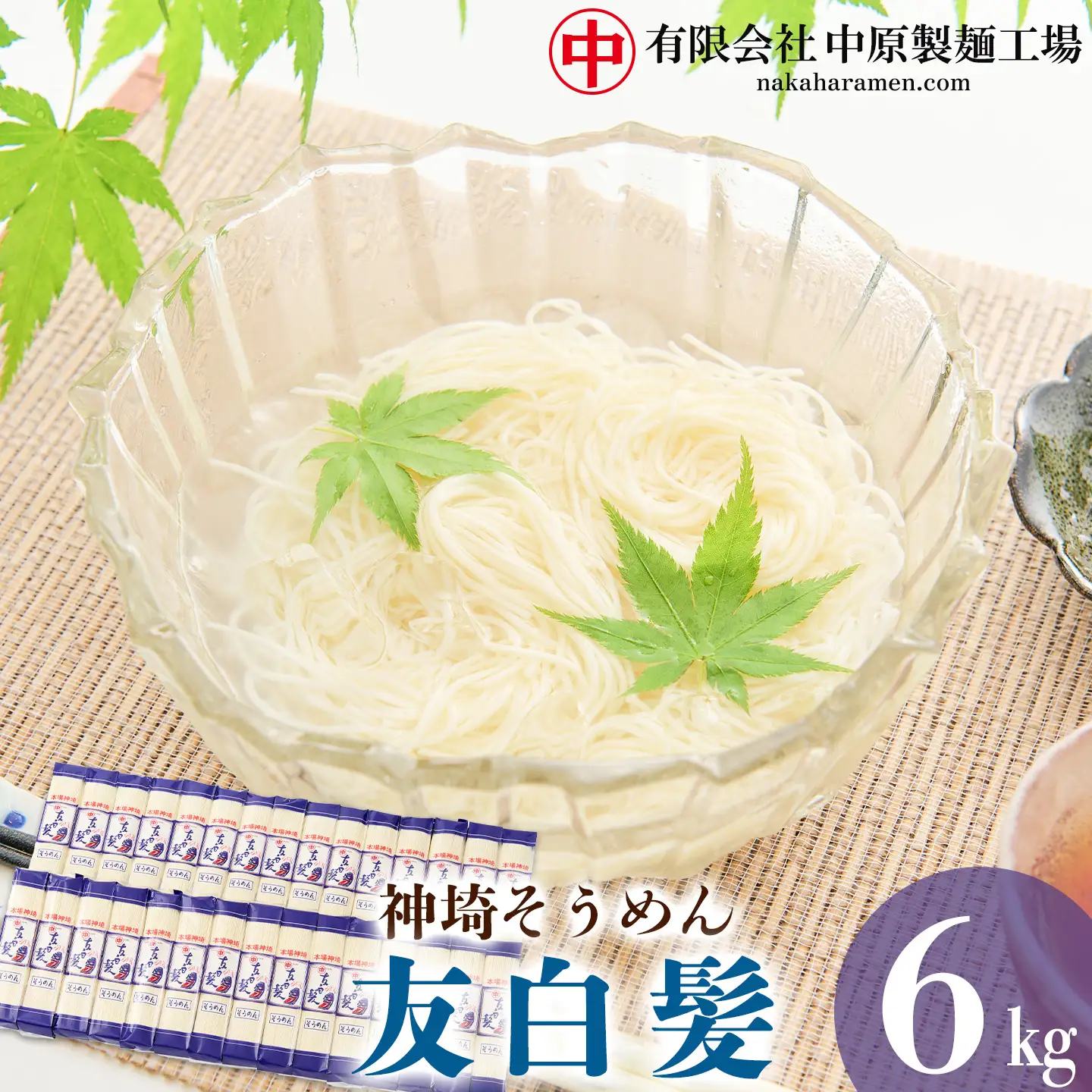神埼そうめん「友白髪」 30袋入り (H045103)