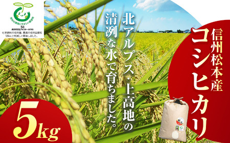 信州松本産コシヒカリ 5kg 