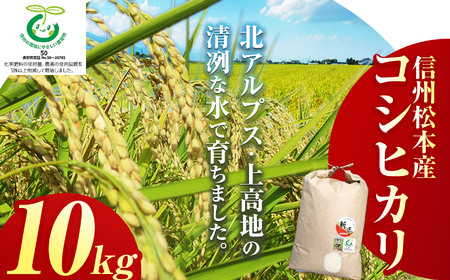 信州松本産コシヒカリ 10kg