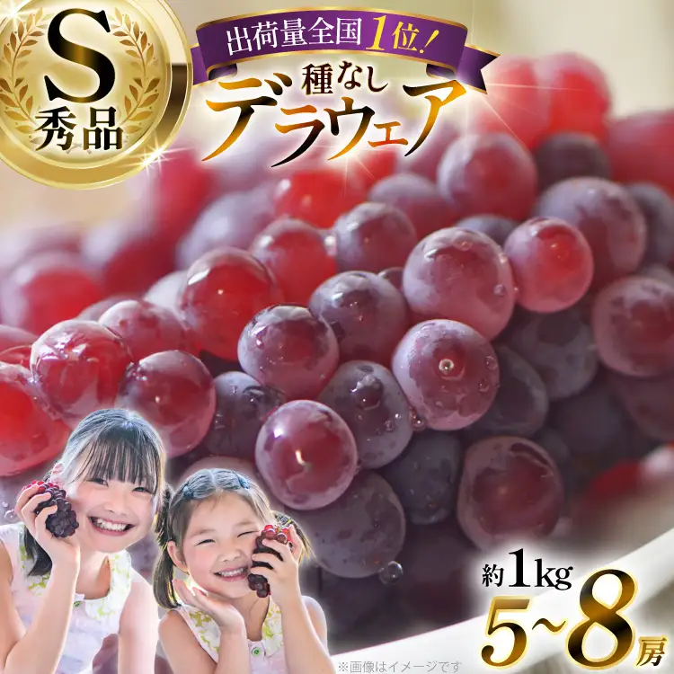 【期間限定発送】 デラウェア 秀品 5～8房 約 1kg [治右衛門果樹園 山形県 高畠町 tk06ays830010]