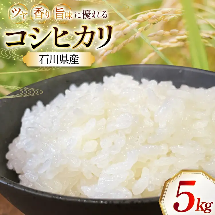 米 令和7年産 石川県産 コシヒカリ 5kg x 1袋 [農事組合法人かさの郷 石川県 津幡町 tb17bgj610003] 