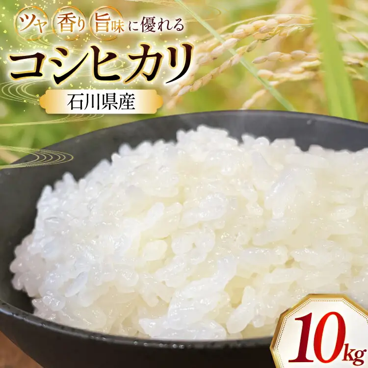 米 令和7年産 石川県産 コシヒカリ 10kg x 1袋 [農事組合法人かさの郷 石川県 津幡町 tb17bgj610004] 