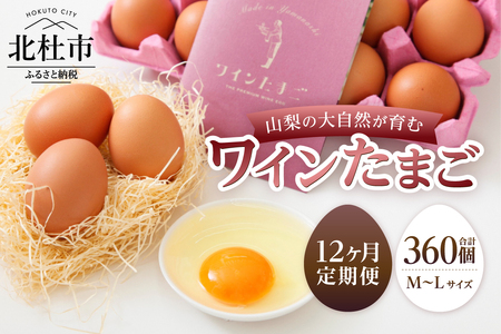【12ヶ月定期便】山梨の大自然が育む「ワインたまご」30個　卵  鶏卵 M～L サイズ 定期便 新鮮 たまご コク 旨味 ポリフェノール 厳選餌 ブドウの皮 種  山梨県 北杜市産 ハイチック 明野農場 [h081]