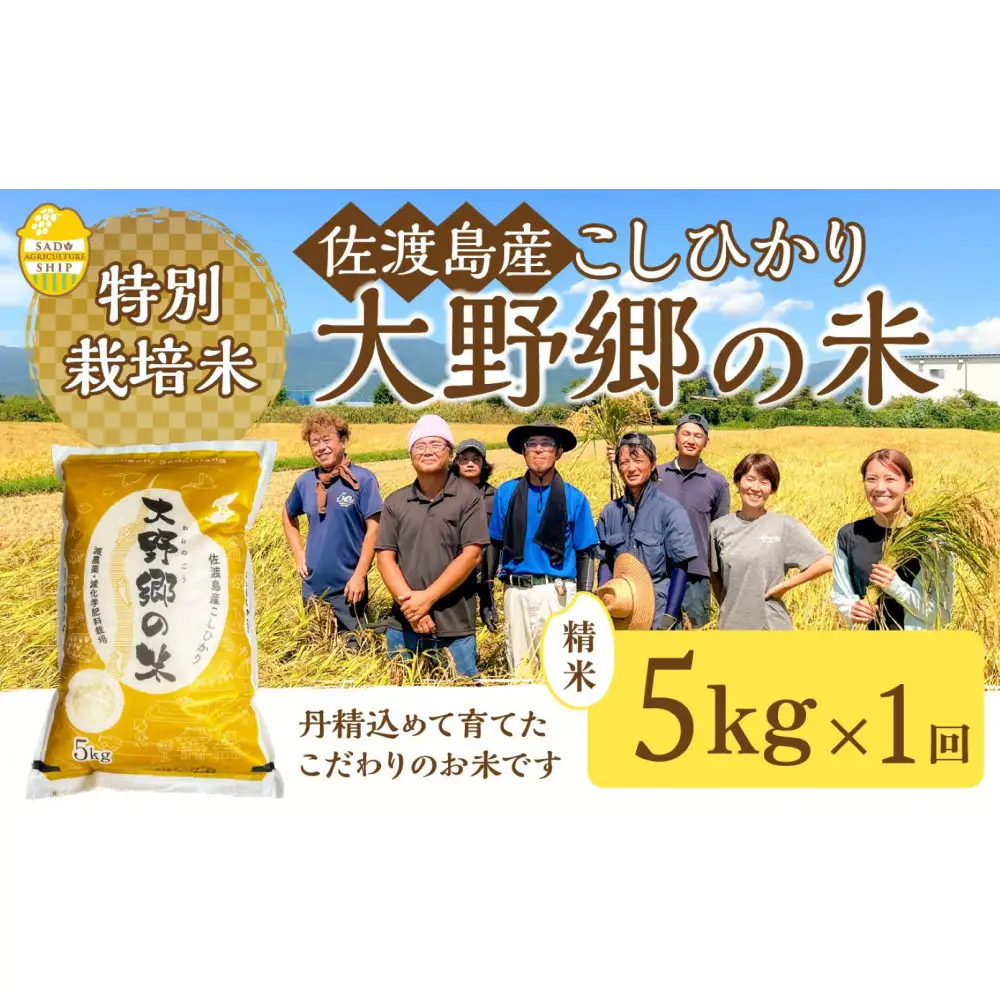【令和7年産】佐渡島産 特別栽培米こしひかり「大野郷の米」 精米5kg×１袋