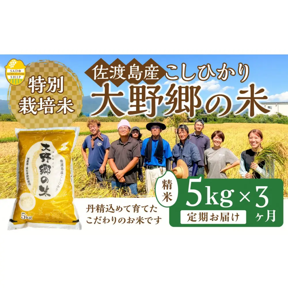 【令和７年産】佐渡島産 特別栽培米こしひかり「大野郷の米」精米5kg×３回 定期お届けコース
