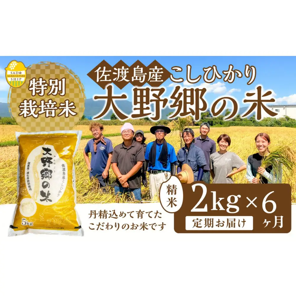 【令和7年産】佐渡島産 特別栽培米こしひかり「大野郷の米」精米2kg×6回 定期お届けコース