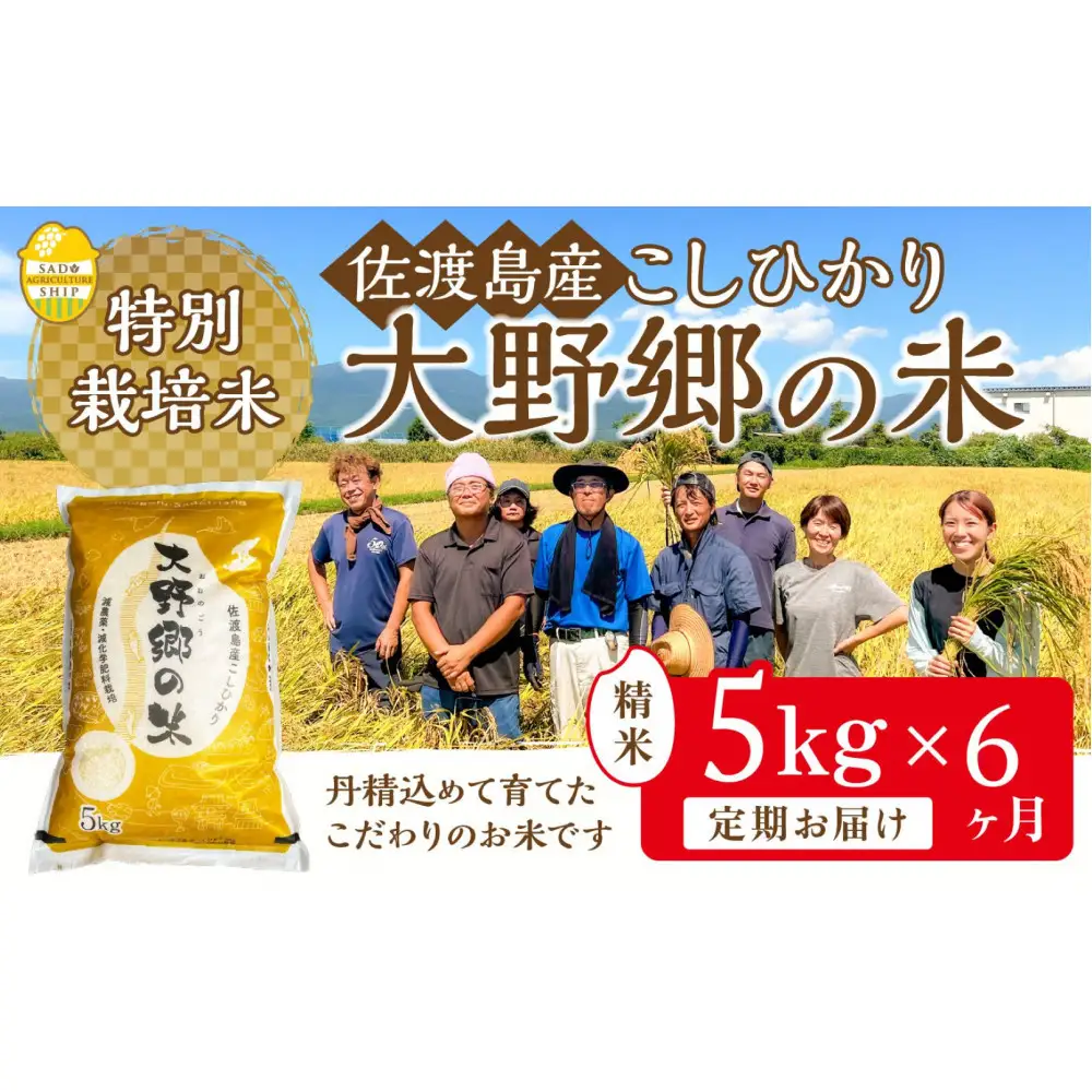 【令和７年産】佐渡島産 特別栽培米こしひかり「大野郷の米」精米5kg×6回 定期お届けコース