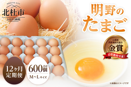 【12ヶ月定期便】金賞受賞 明野のたまご50個　卵 鶏卵  M～L サイズ 定期便 12ヶ月 知事賞 金賞受賞 たまご コク 旨味 濃厚 山梨県 北杜市産 明野 ハイチック [h081]