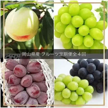 【発送月固定定期便】岡山県産  フルーツ定期便全4回【配送不可地域：離島】【4076456】